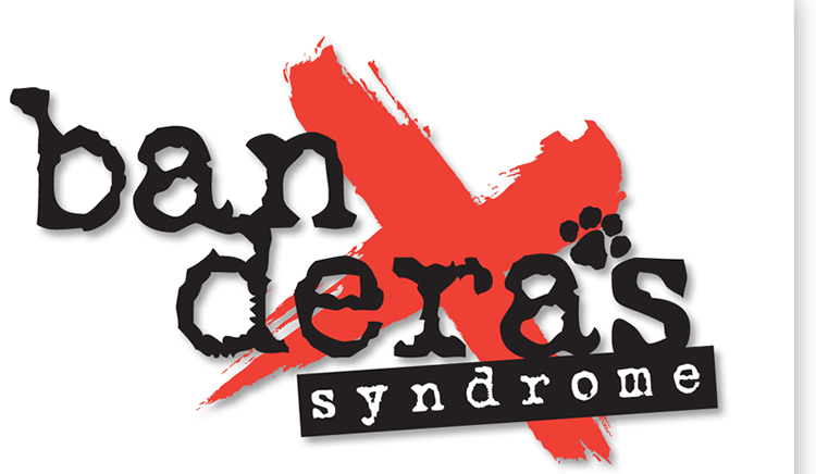 Bandera's Syndrome Logo